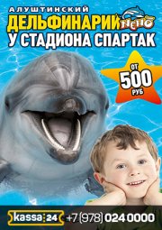 Шоу дельфинов, морских котиков и морской львицы